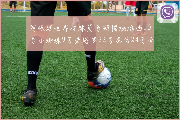 阿根廷世界杯球员号码揭秘梅西10号小蜘蛛9号劳塔罗22号恩佐24号全解析
